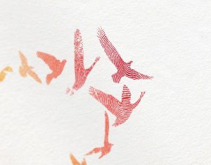 ClareRowlands-work-rarevoices2